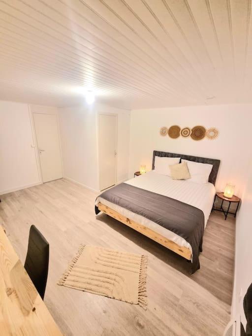 Appartement Neuf Rive-de-Gier Kültér fotó